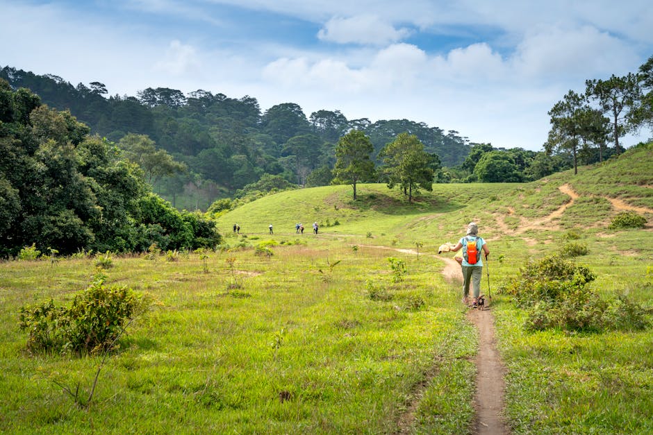 Group of tourists with backpacks strolling along narrow pathway amidst lush abundant forest on clear summer day