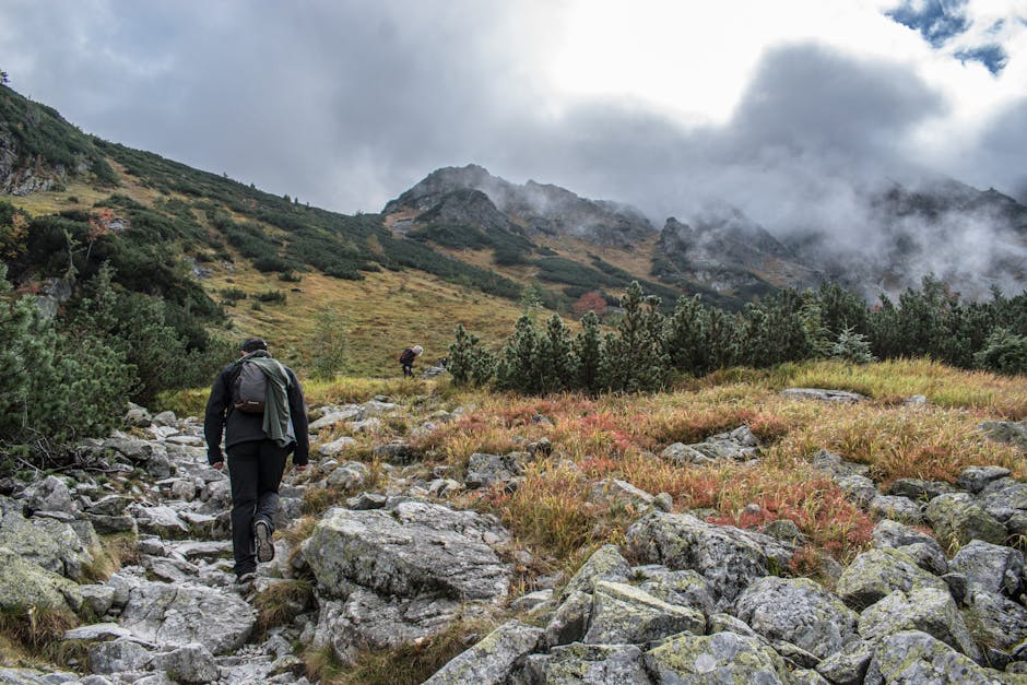 Two hikers navigate a rocky trail in a picturesque mountain landscape with vibrant greenery
