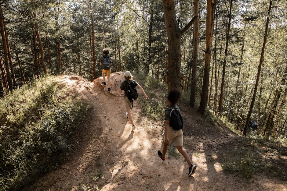 Group of teenagers hiking through a sunlit forest, enjoying a summer adventure